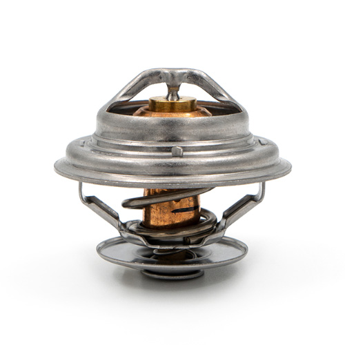 ترموستات موتور دیزل بادوین پارت نامبر 16232196R